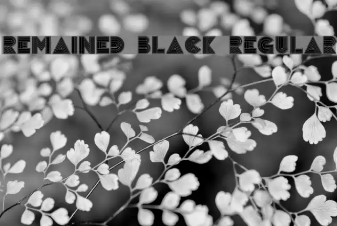 Remained Black Regular Font examples