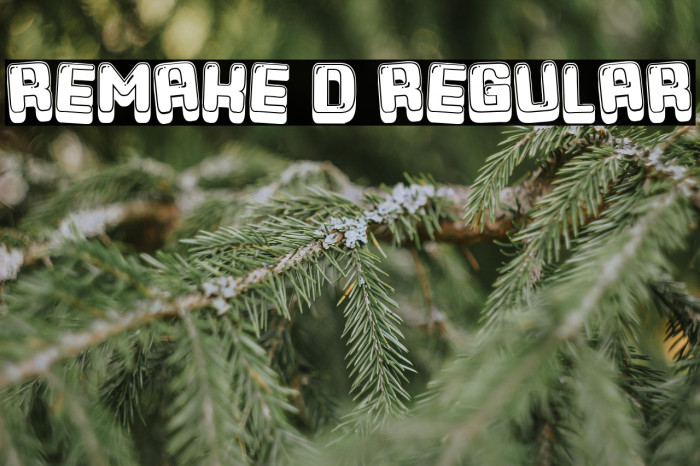 Remake 3D Regular Example 2