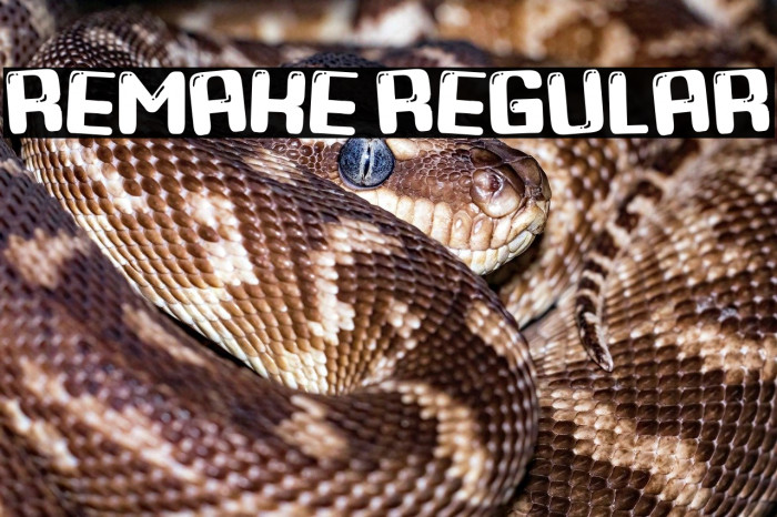 Remake Regular Example 1