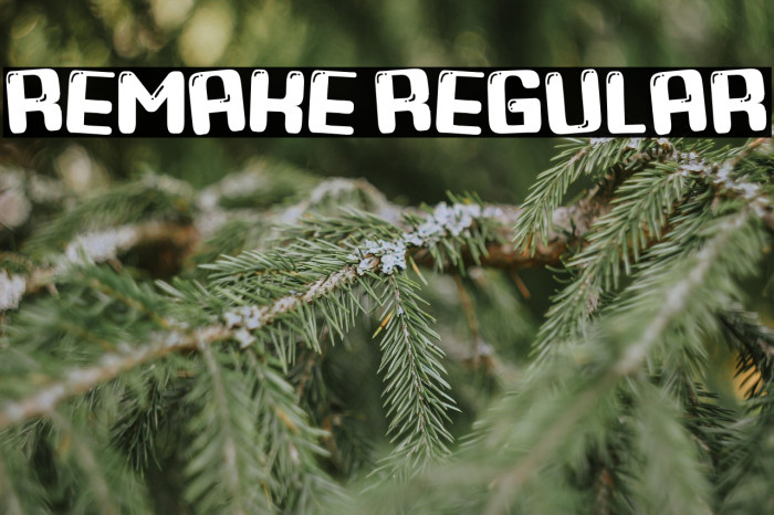 Remake Regular Example 2