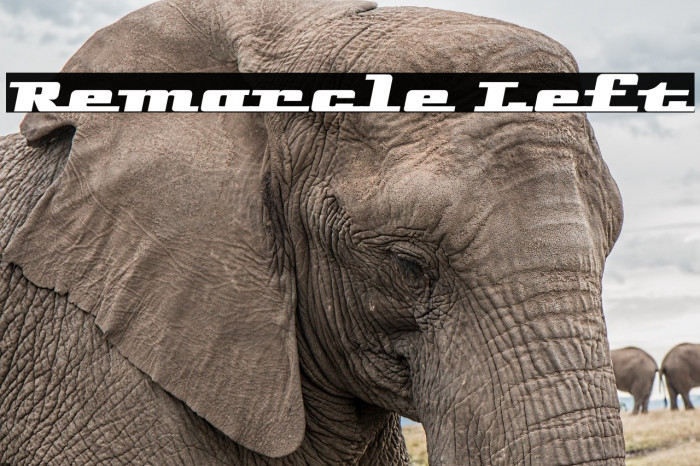 Remarcle Left Font examples