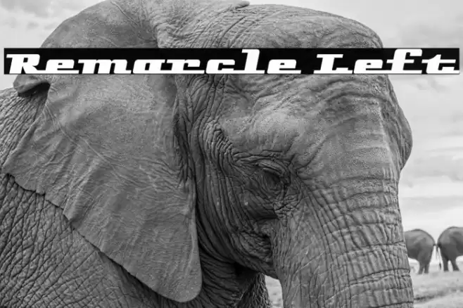 Remarcle Left Шрифта examples