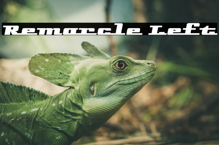Remarcle Left Font examples