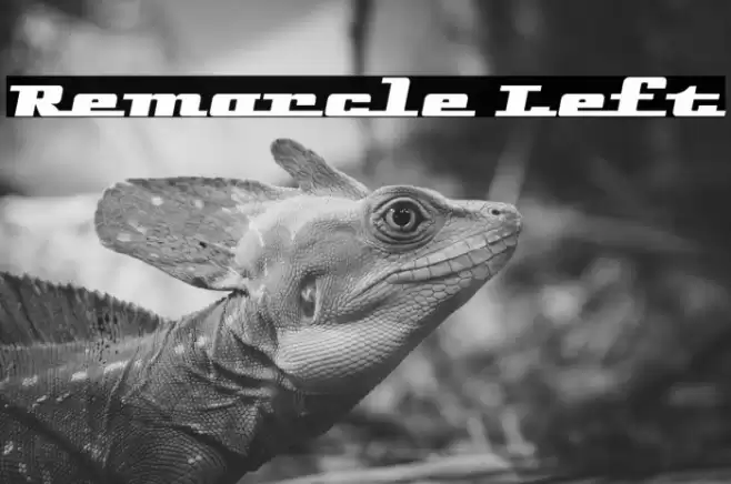 Remarcle Left Шрифта examples