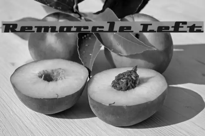 Remarcle Left Font examples