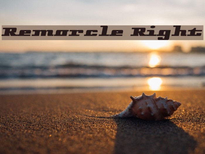 Remarcle Right フォント examples