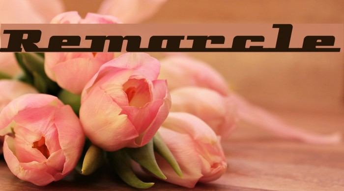 Remarcle Font examples