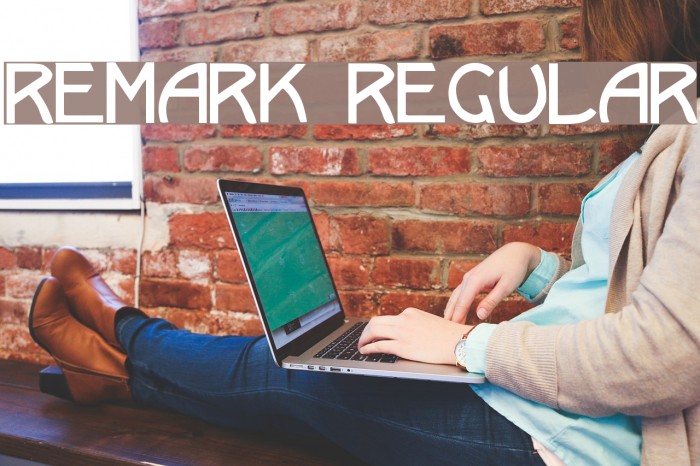 Remark Regular Font examples