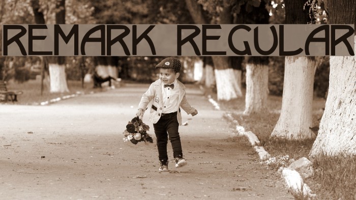 Remark Regular Font examples