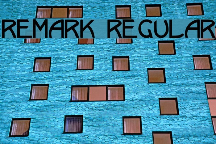 Remark Regular Font examples