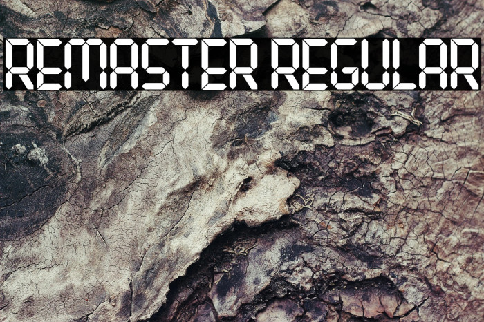 Remaster Regular Example 1