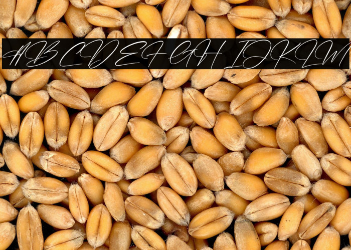 Rembulan Signature Example 2