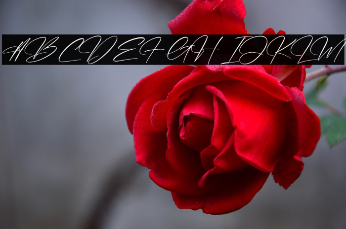 Rembulan Signature Example 3