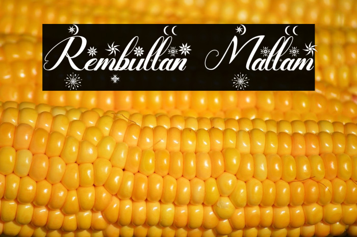 Rembullan Mallam Example 2