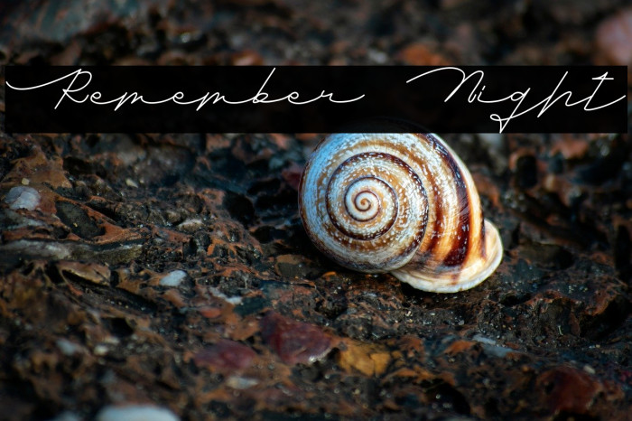 Remember Night Example 2