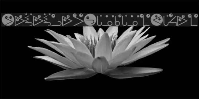 RememberBauhausFaces Font examples