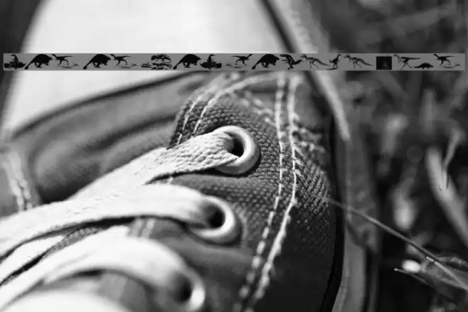 RememberMesozoikum Font examples