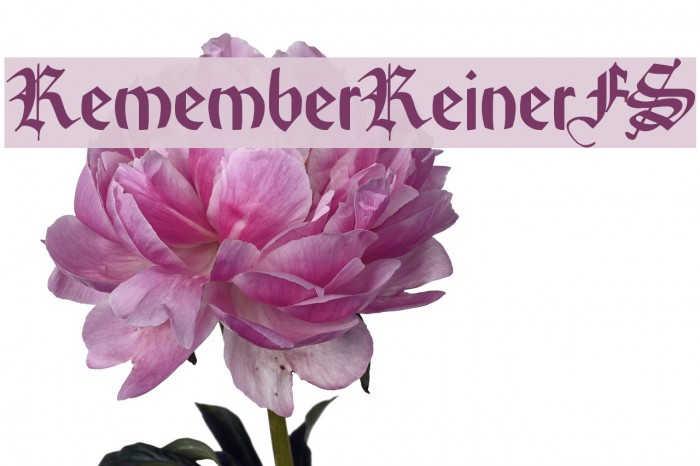 RememberReinerFS Font examples