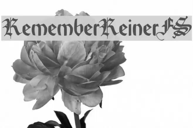 RememberReinerFS Schriftart examples