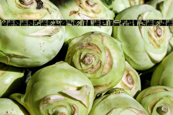 RememberZwartDeStjl-Inverse Font examples