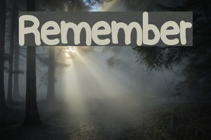 Remember Font examples