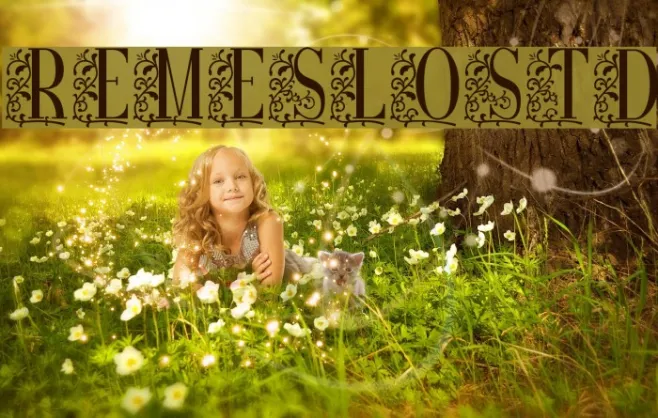 RemesloSTD Example 2