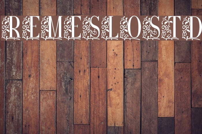 RemesloSTD Font examples