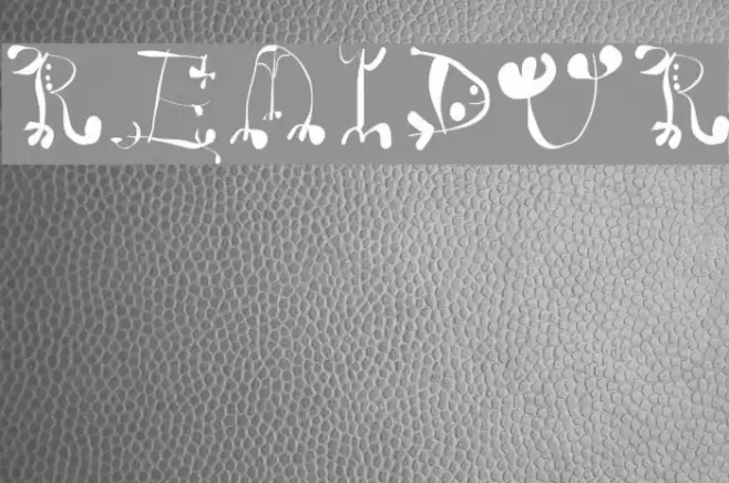 RemiDur Font examples