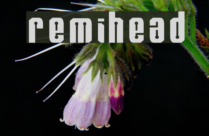 RemiHead Font examples