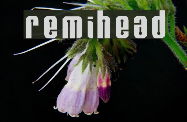 RemiHead Example 3