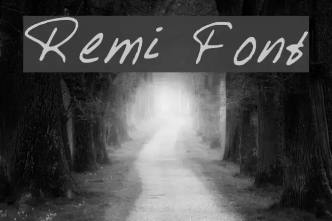 Remi Font examples