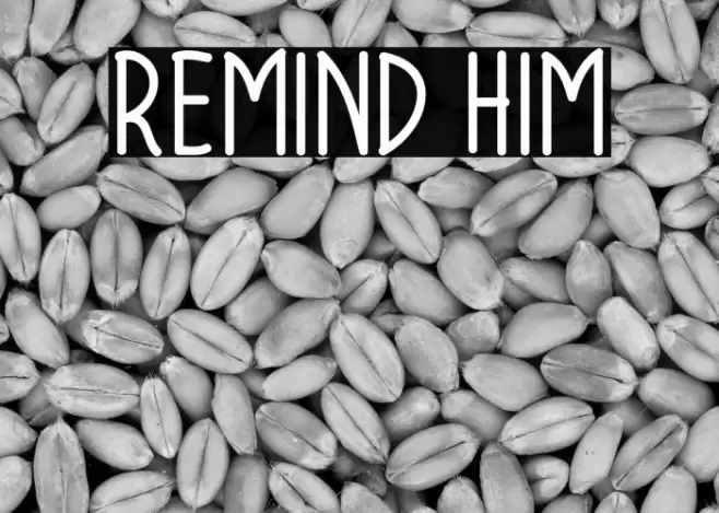 Remind Him Font examples