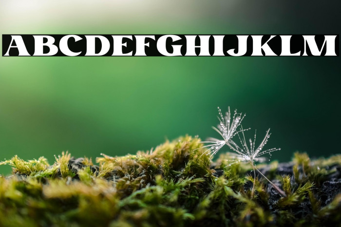 Remind Personal Use Example 3