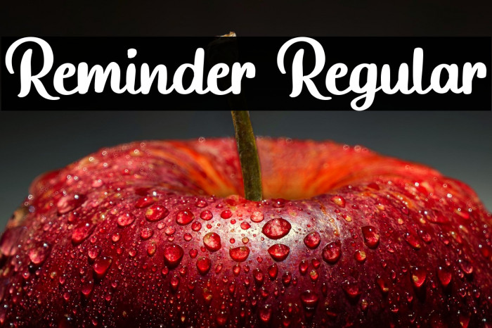 Reminder Regular Example 1