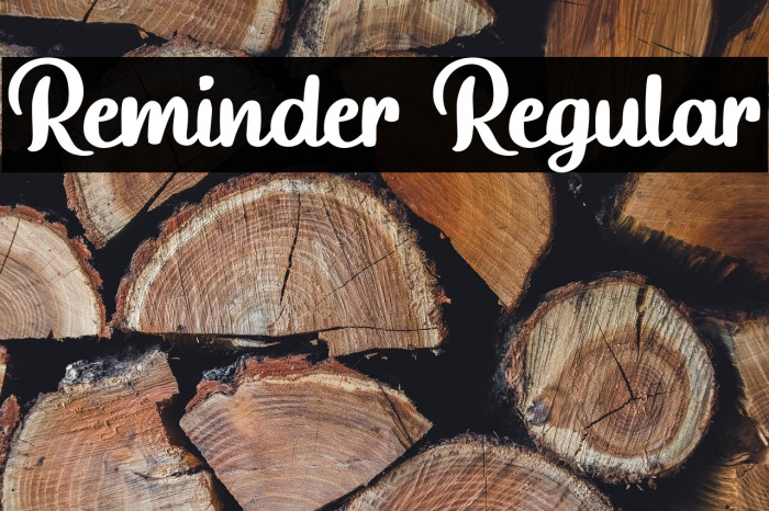 Reminder Regular Example 3