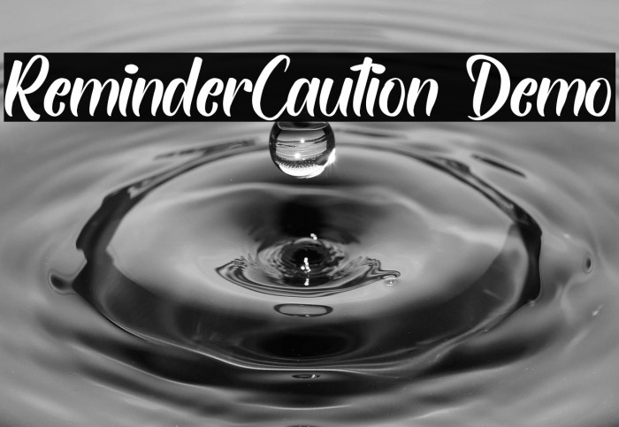 ReminderCaution Demo Example 1