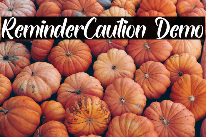 ReminderCaution Demo Example 2