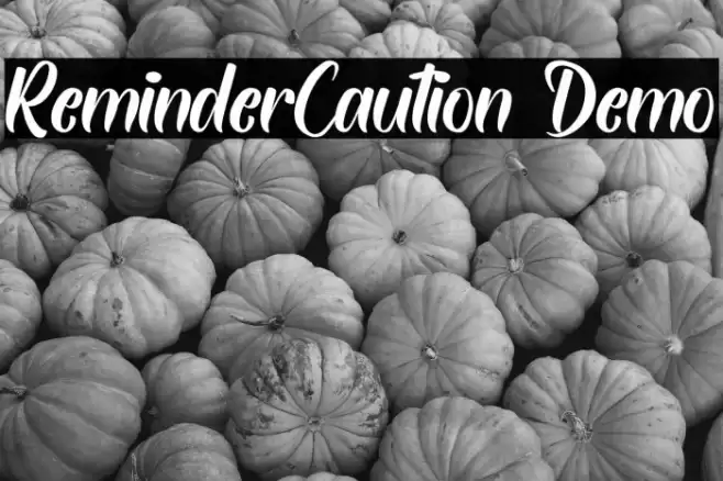 ReminderCaution Demo Font examples