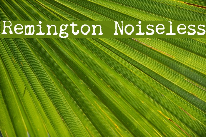 Remington Noiseless Font examples