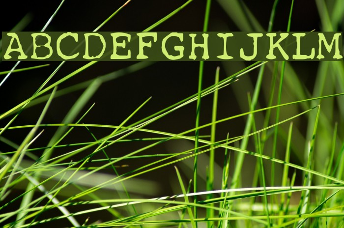 Remington Font examples