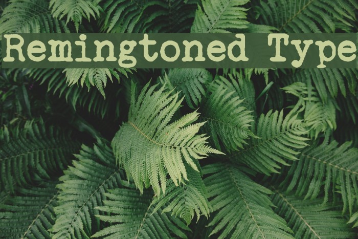 Remingtoned Type Font examples