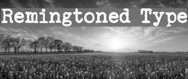 Remingtoned Type Font examples