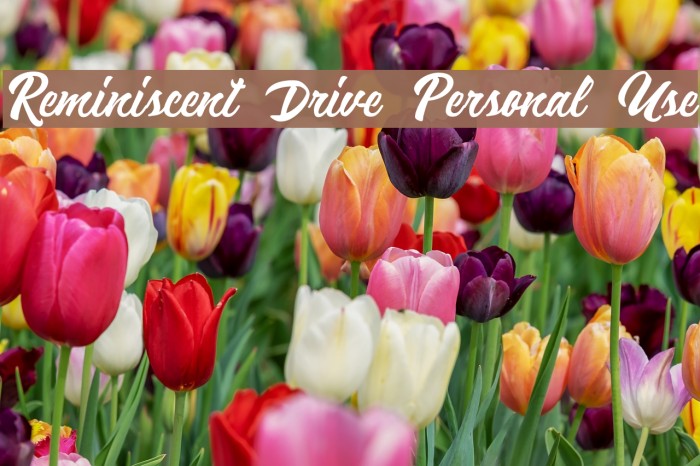 Reminiscent Drive Personal Use Example 1