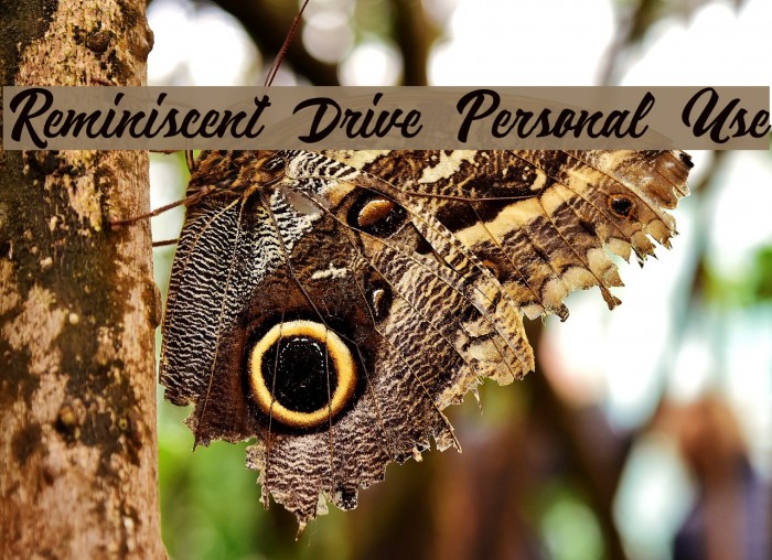 Reminiscent Drive Personal Use Example 2