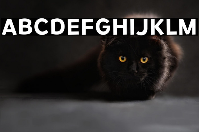 RemissisSb-Regular Example 1