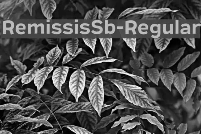 RemissisSb-Regular Font examples