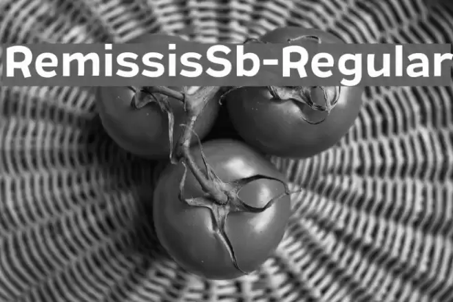 RemissisSb-Regular Font examples