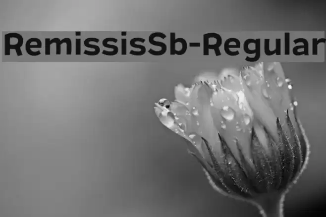 RemissisSb-Regular Font examples