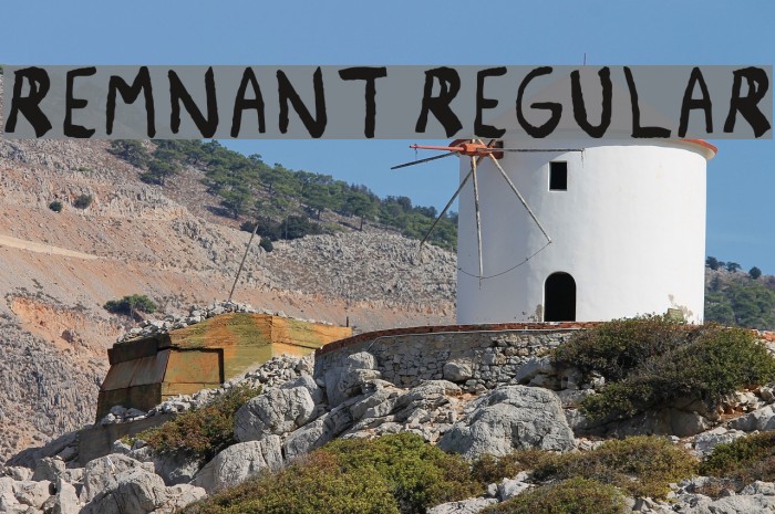 Remnant Regular Font examples