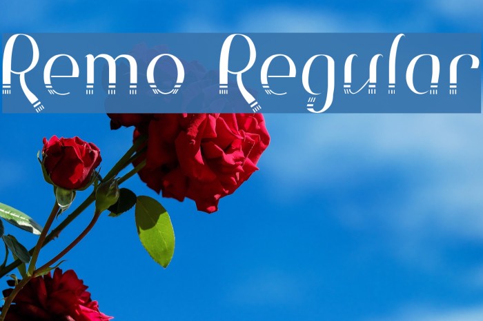 Remo Regular Example 1